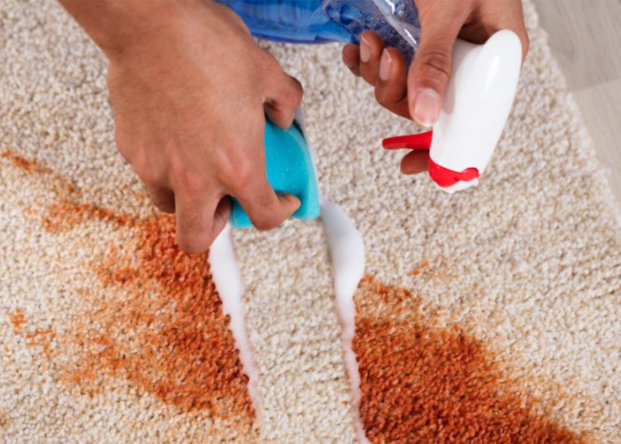 What can I use instead of carpet shampoo?