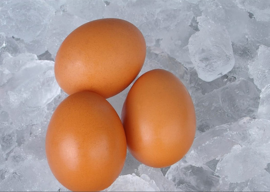 Freezing Eggs: Everything You Should Know