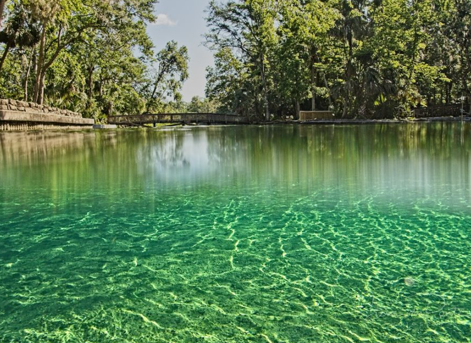 Natural Springs in Florida